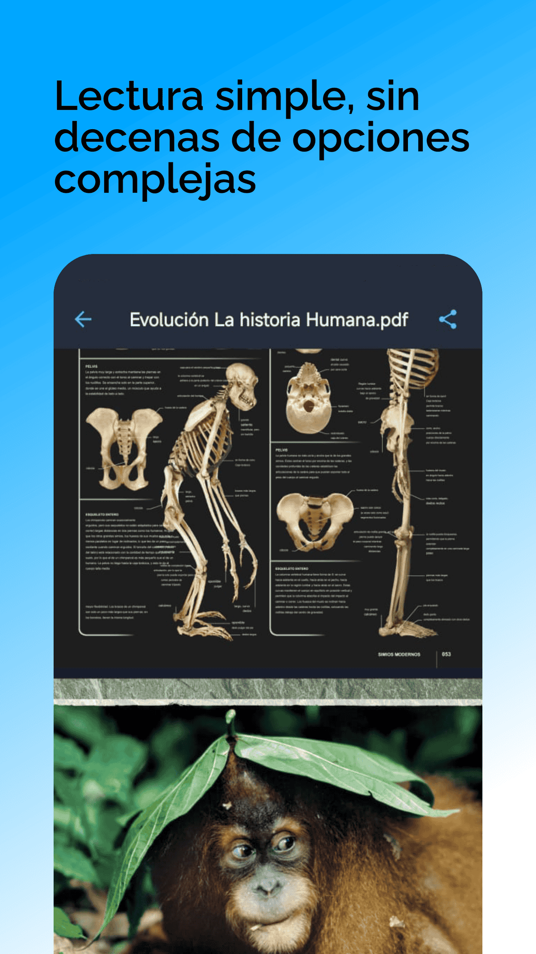 PDFortuna screenshot 3